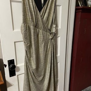 Anthropologie-Kari Metallic MIDI Dress